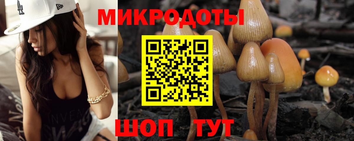 Гусиноозёрск  Псилоцибиновые грибы прущие грибы  Вход с VPN  как найти наркотики  Псилоцибиновые грибы прущие грибы 